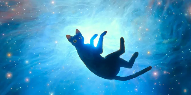 Достойны оскара