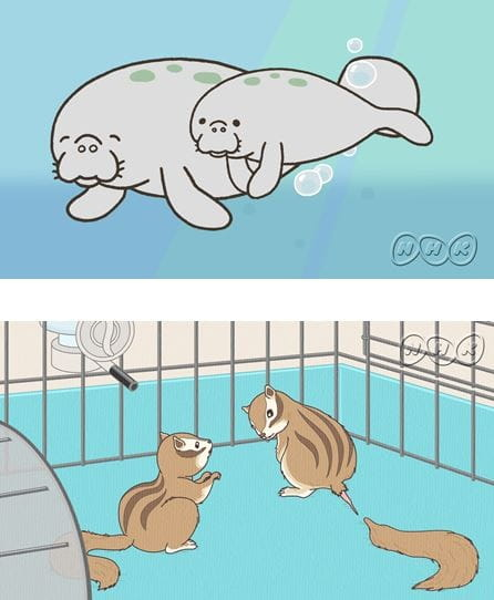 Постер к: Энциклопедия жалких созданий: Спецвыпуски