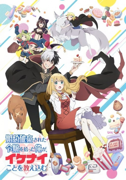 Постер к Я прибрал к рукам девушку