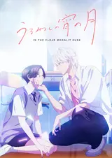 Прекрасная вечерняя луна